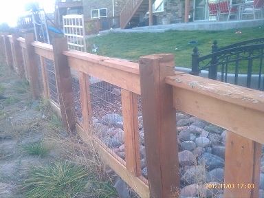Wire Mesh Fence to Keep Dogs Inside Aurora